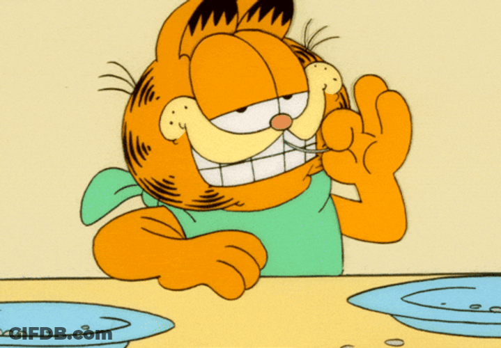 Garfield Finish Eating Done And Done GIF