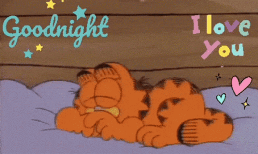 Garfield Goodnight I Love You GIF