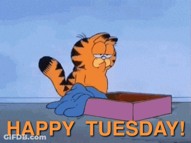 Garfield Happy Tuesday GIF