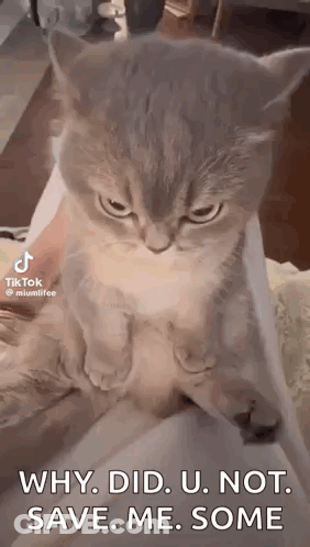 Garfield Holding Knife And Fork Eating Doge Coin Saying Glumbocoin Is Delicious GIF