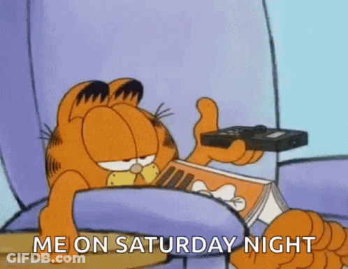 Garfield Holding Remote Control And Reading Book GIF