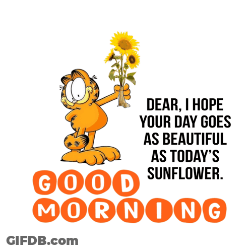 Garfield Is Holding A Bunch Of Sunflowers And Says Dear I Hope Your Day Goes As Beautiful As Today GIF