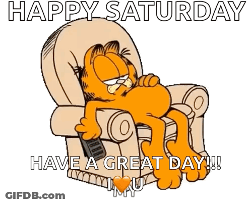 Garfield Is Laying In A Chair Holding A Remote Control And Says Happy Saturday Have A Great Day !!! GIF