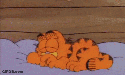 Garfield Is Laying On A Bed Holding A White Pillow GIF