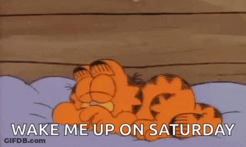 Garfield Is Laying On A Bed With A Pillow And The Words `` Wake Me Up On Saturday '' Written On It . GIF