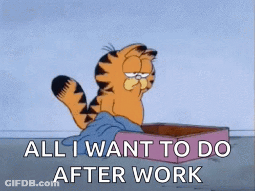 Garfield Is Sitting In A Box And Says `` All I Want To Do After Work '' GIF