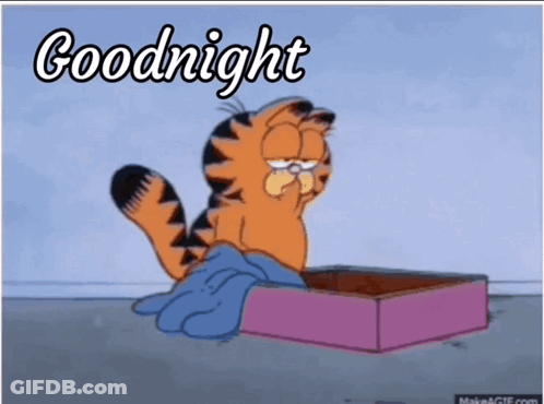 Garfield Is Sitting In A Box With The Words Goodnight Written On It GIF