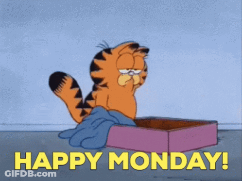 Garfield Is Sitting In A Pink Box With The Words `` Happy Monday ! '' GIF