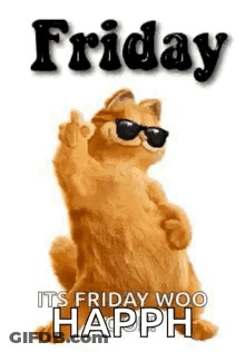 Garfield Is Wearing Sunglasses And Giving The Middle Finger On A Friday Greeting Card . GIF