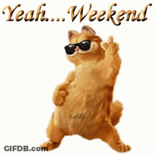 Garfield Is Wearing Sunglasses And Giving The Middle Finger While Dancing . GIF
