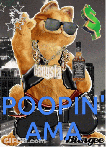 Garfield Is Wearing Sunglasses And Holding A Bottle Of Jack Daniels Whiskey GIF