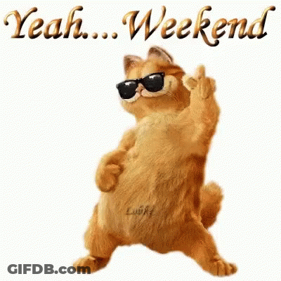 Garfield Is Wearing Sunglasses And Making A Middle Finger Sign . GIF