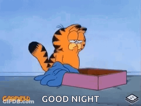 Garfield Laying In Box With Blue Blanket Good Night GIF
