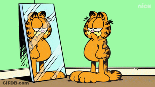 Garfield Looking At His Reflection In A Mirror With The Nick Logo In The Background GIF