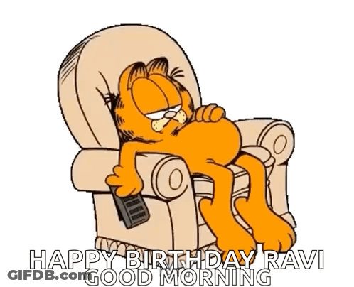 Garfield Lying In Chair With Remote GIF