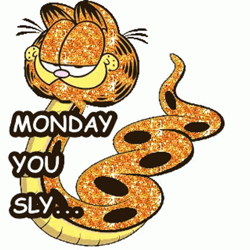 Garfield Monday You Sly GIF
