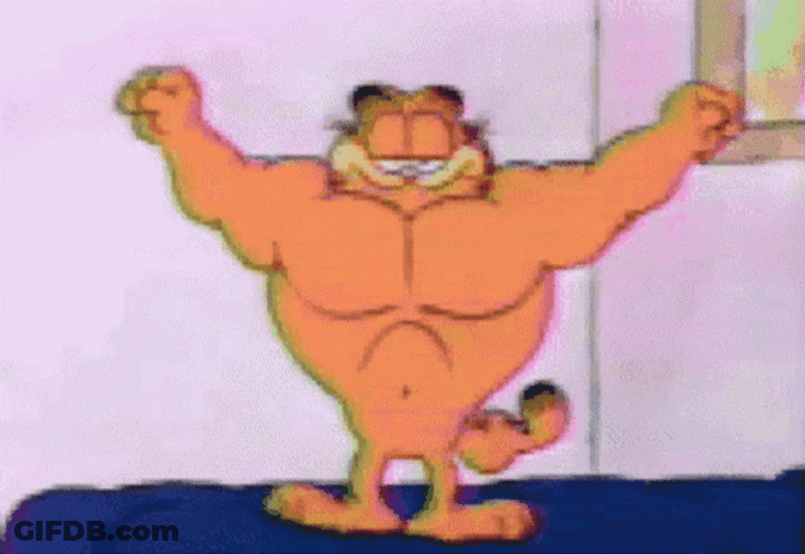Garfield Muscle Builder GIF