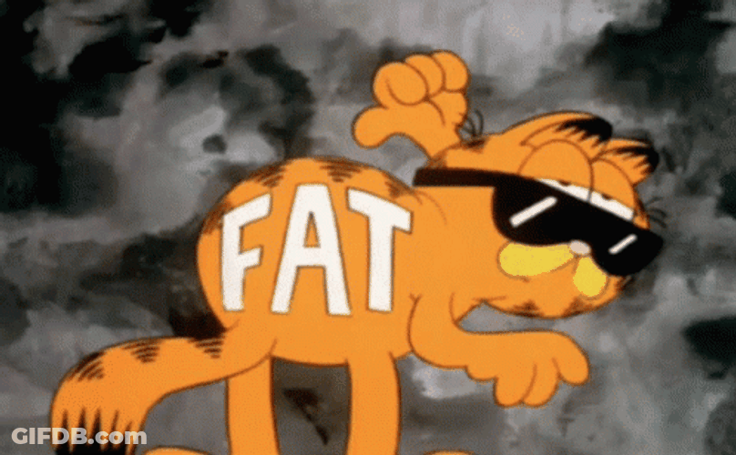 Garfield Proud Fat GIF