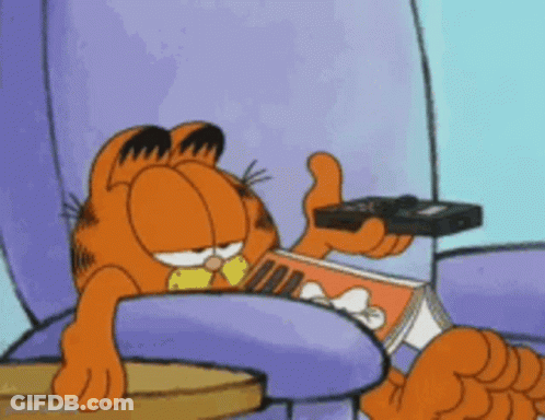 Garfield Reading Book And Holding Remote GIF