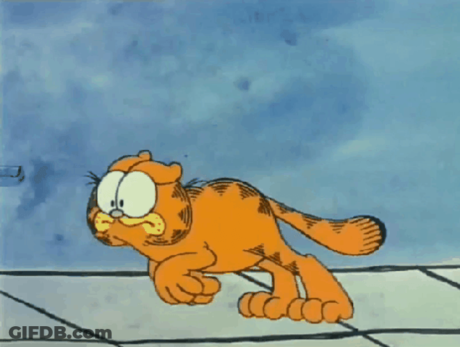 Garfield Running Scared GIF