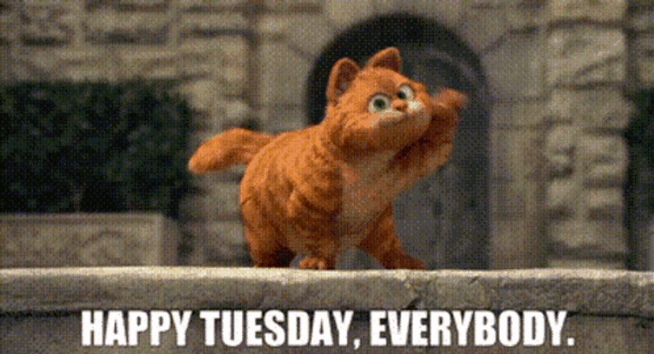 Garfield Says It's Only Tuesday Everybody GIF