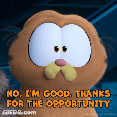 Garfield Says No I'm Good Thanks For The Opportunity GIF