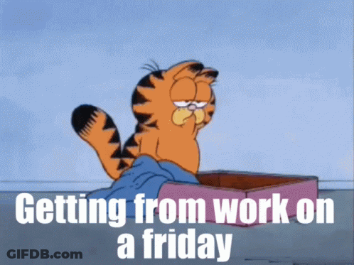 Garfield Sitting In Box Getting From Work On A Friday GIF
