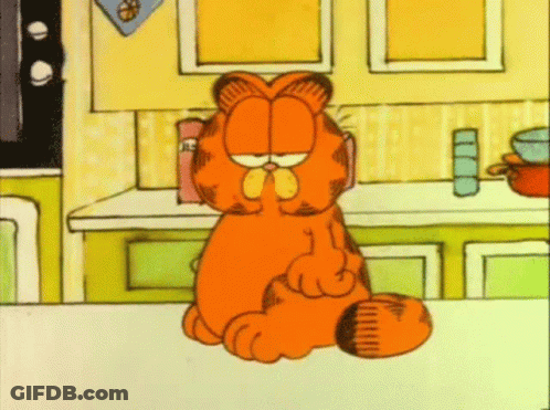 Garfield Sitting On Counter With Eyes Closed GIF