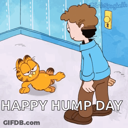Garfield Standing Next To Man Happy Hump Day GIF