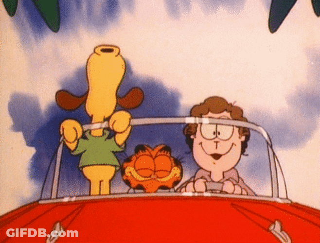 Garfield Summer Driving GIF