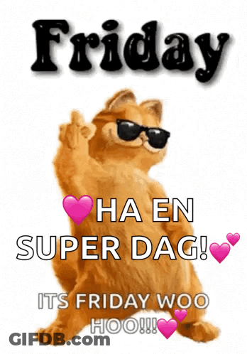 Garfield Sunglasses Friday Ha En Super Dag GIF