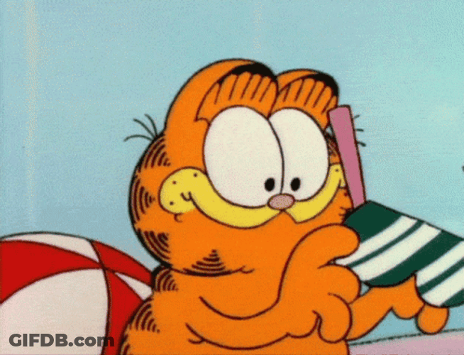 Garfield Sunglasses GIF