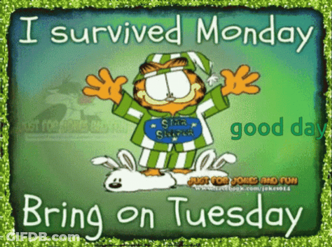 Garfield Survived Another Monday GIF