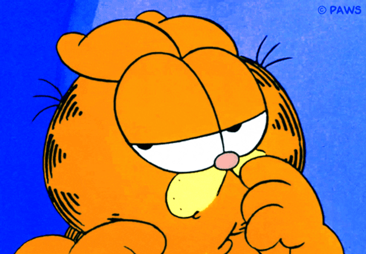 Garfield Suspicious Hmmmm GIF
