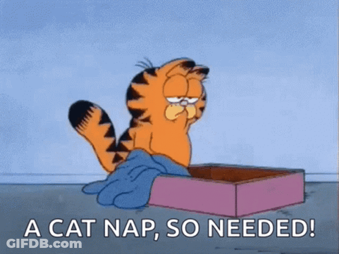 Garfield Taking Cat Nap On Monday GIF