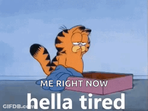 Garfield The Cat Is Sitting In A Box And Saying `` Me Right Now Hella Tired '' . GIF