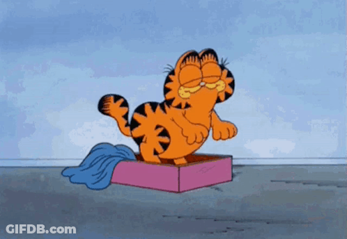 Garfield The Cat Is Sitting In A Pink Box With A Mop . GIF