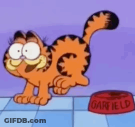 Garfield The Cat Is Standing Next To A Red Bowl Of Garfield . GIF
