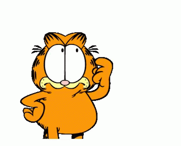 Garfield Thinking Question Mark GIF