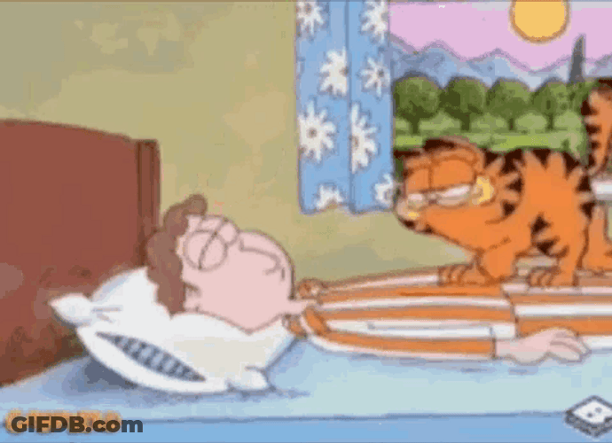 Garfield Wake Up Jon GIF