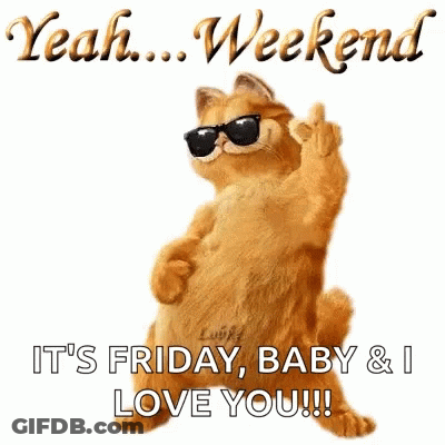 Garfield Wearing Sunglasses Giving Middle Finger GIF