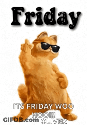 Garfield Wearing Sunglasses Making Middle Finger GIF