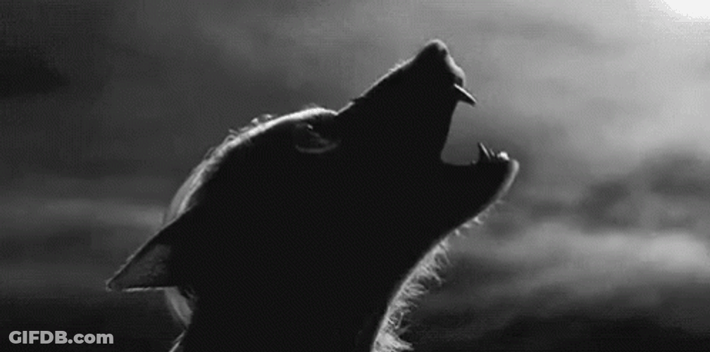 Garou GIF