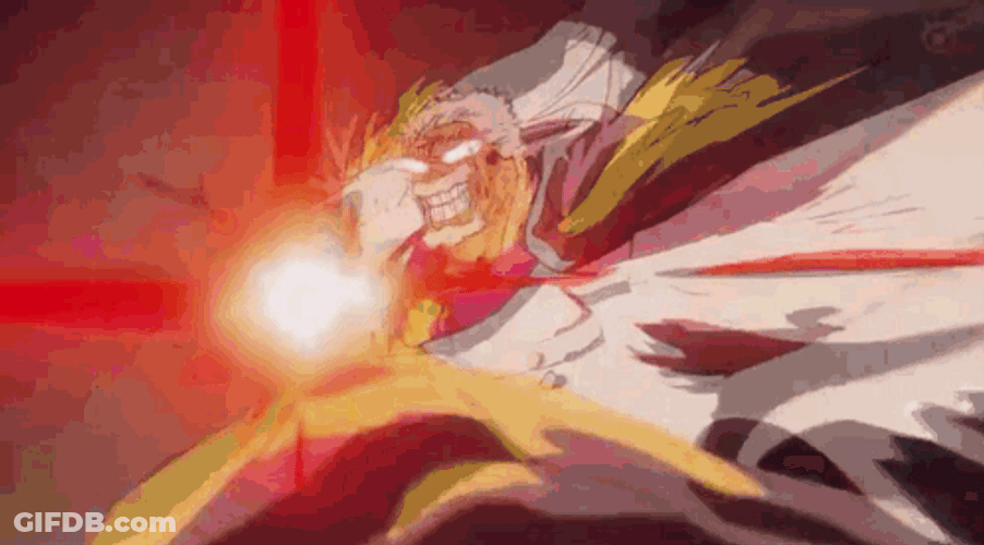 Garp Chujou Vice Admiral Monkey GIF