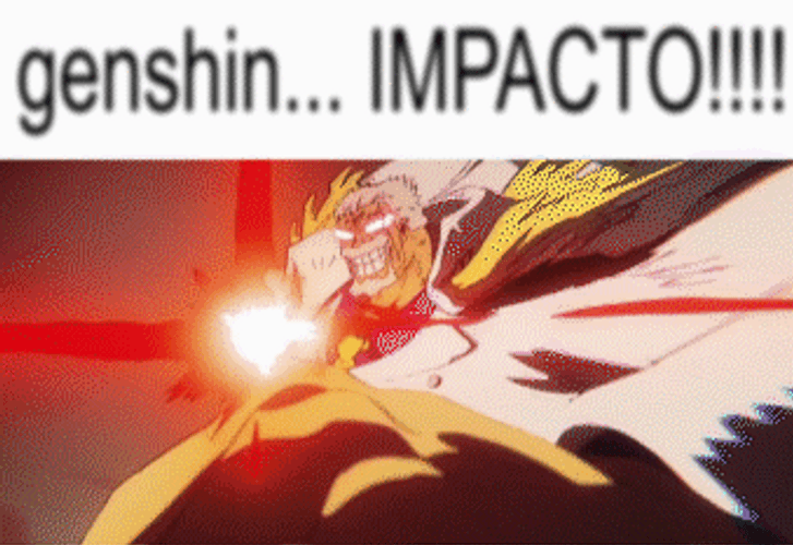 Garp With His Genshin Impact GIF