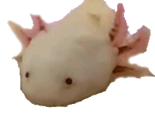 Gary The Axolotl Sticker GIF