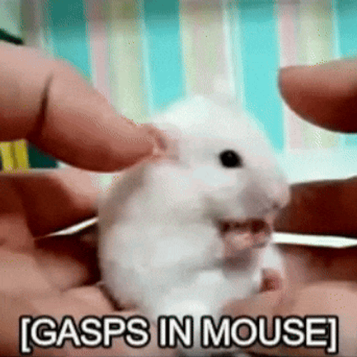 Gasps In Mouse Meme GIF