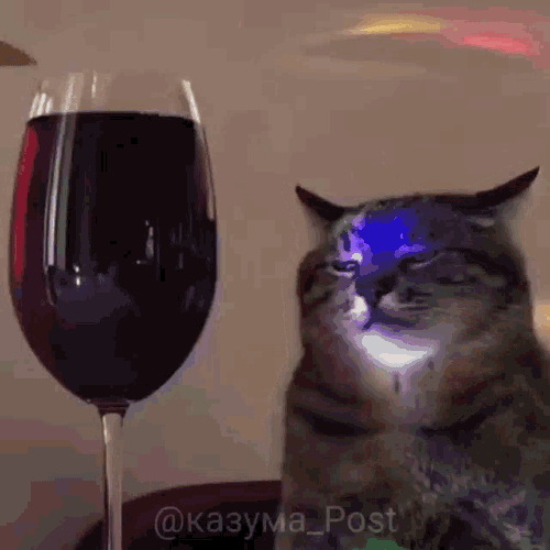 Gato Sad Sad GIF