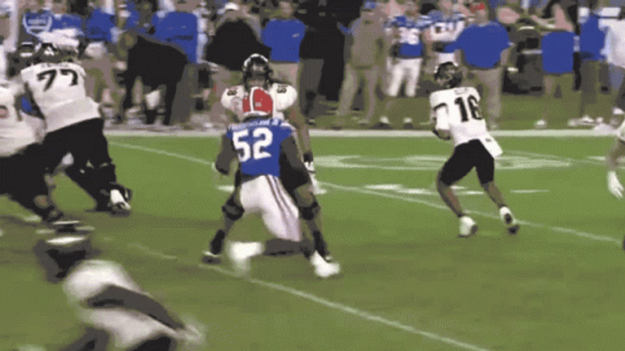 Gators Fighting Team GIF