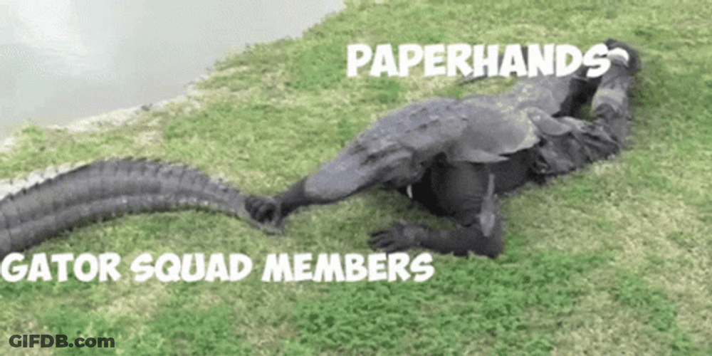 Gators In The Lake Shore GIF
